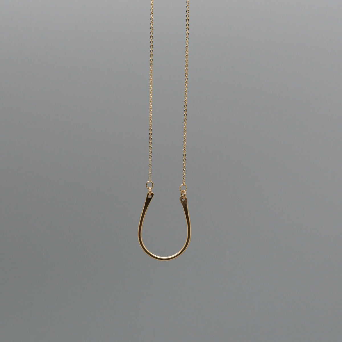 horseshoe necklace