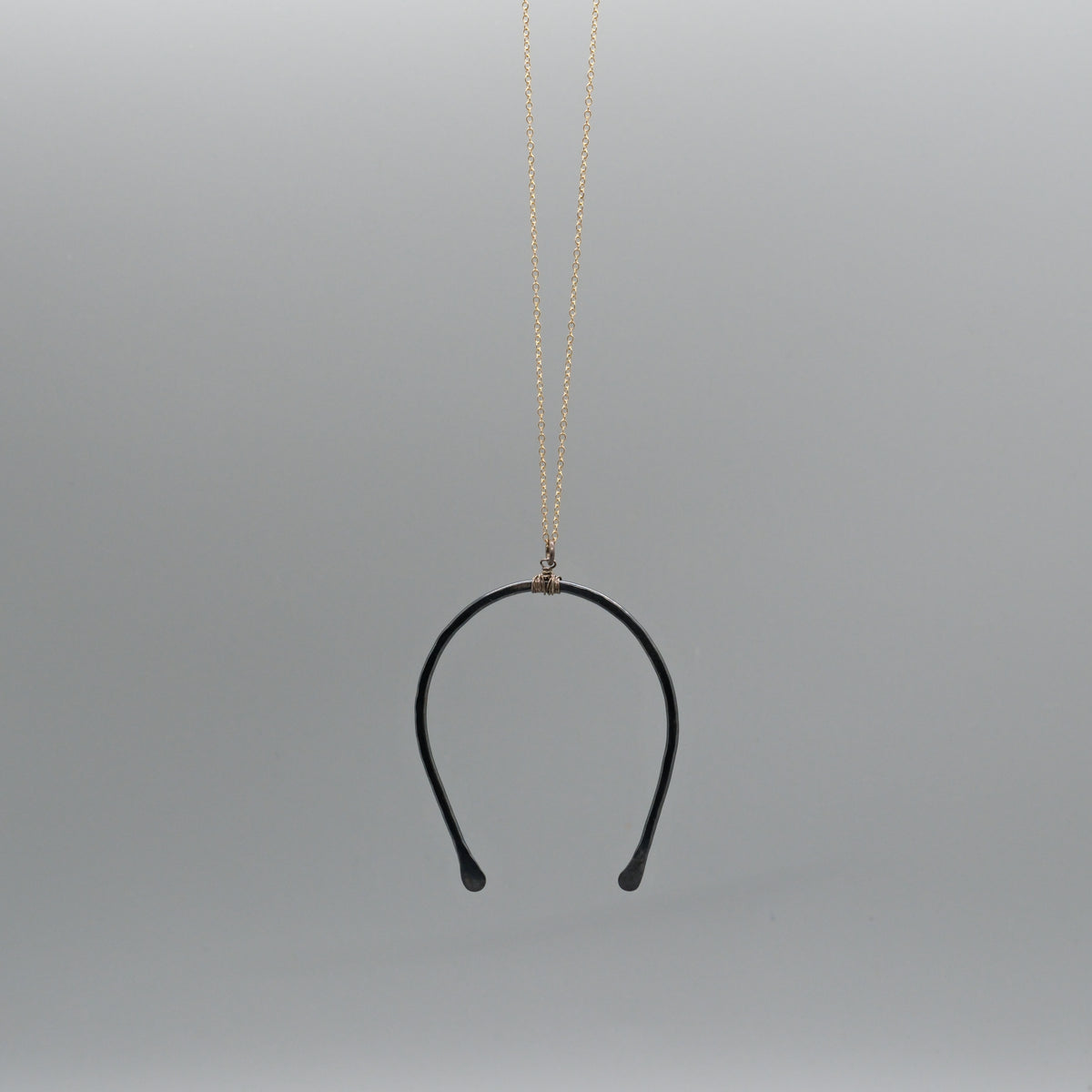 large horseshoe necklace