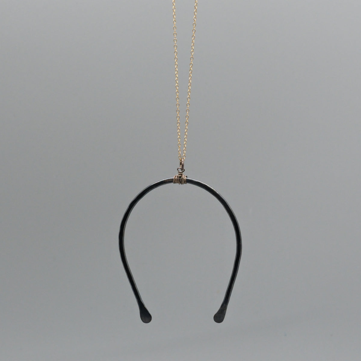 large horseshoe necklace