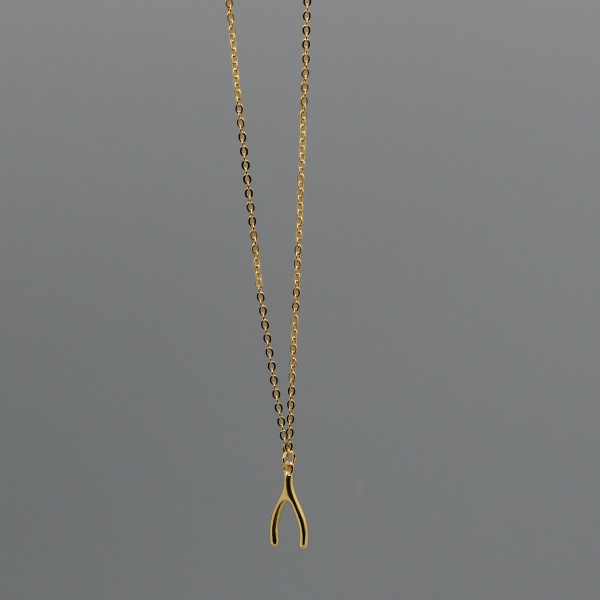 Mini Wishbone Necklace