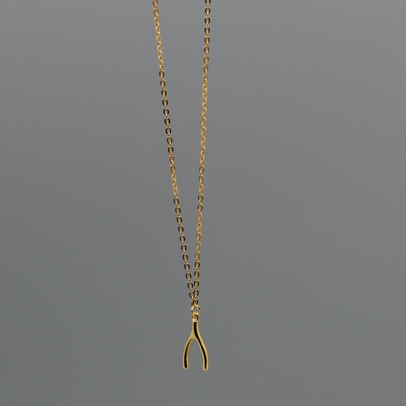 Mini Wishbone Necklace