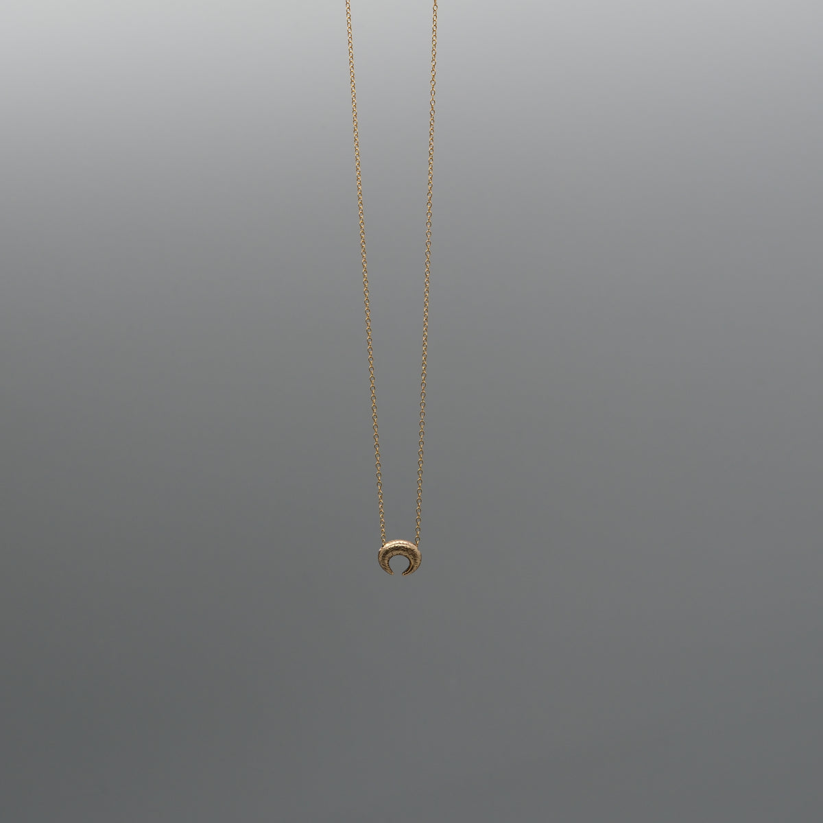 crescent moon necklace