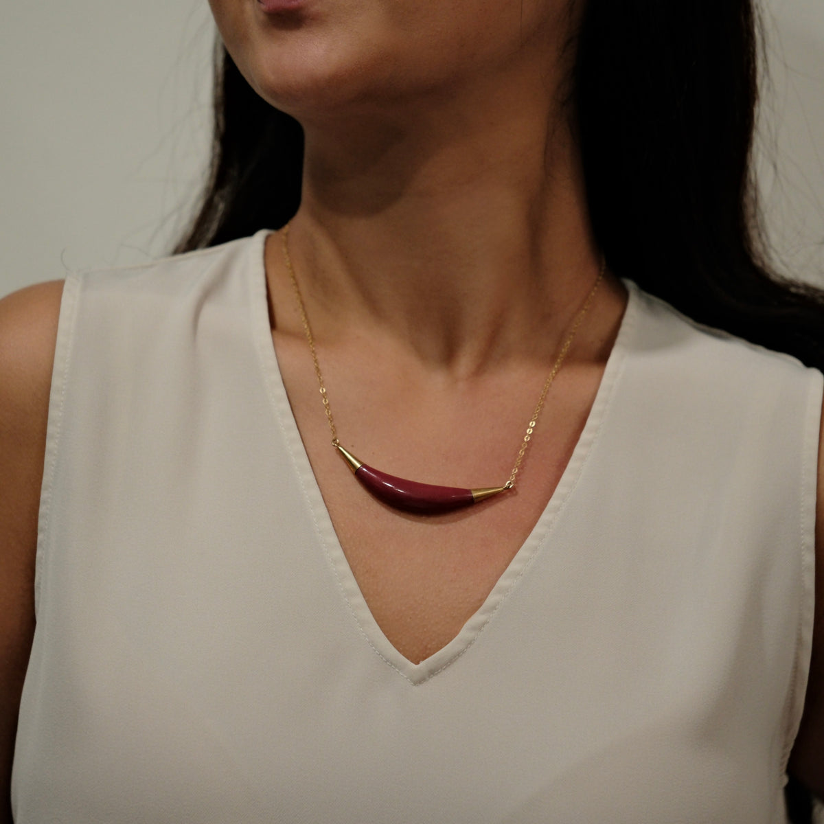 PN101