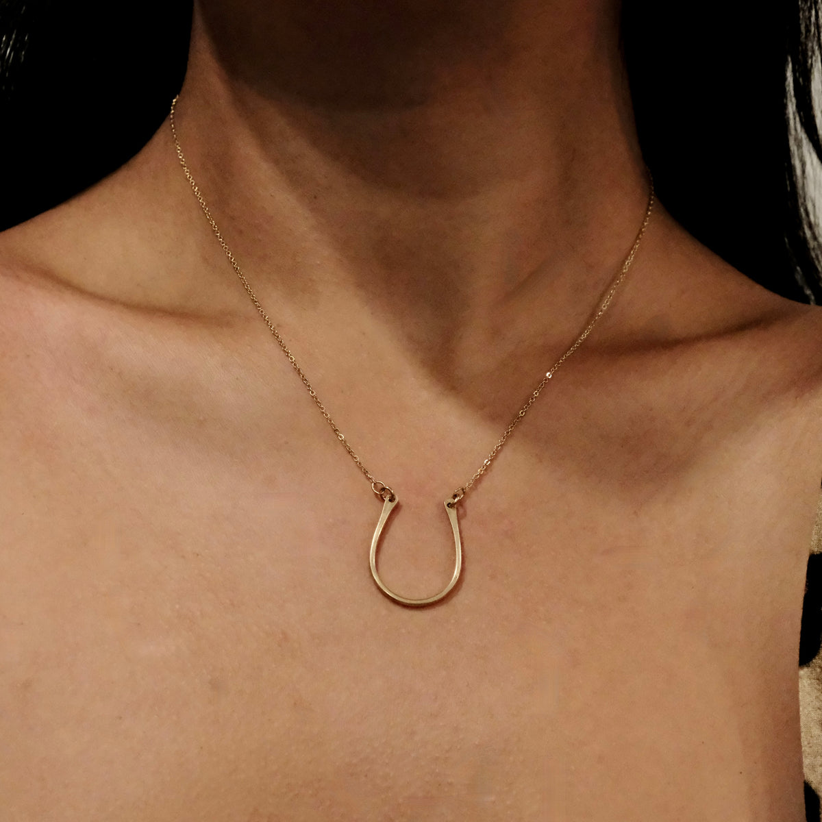 horseshoe necklace