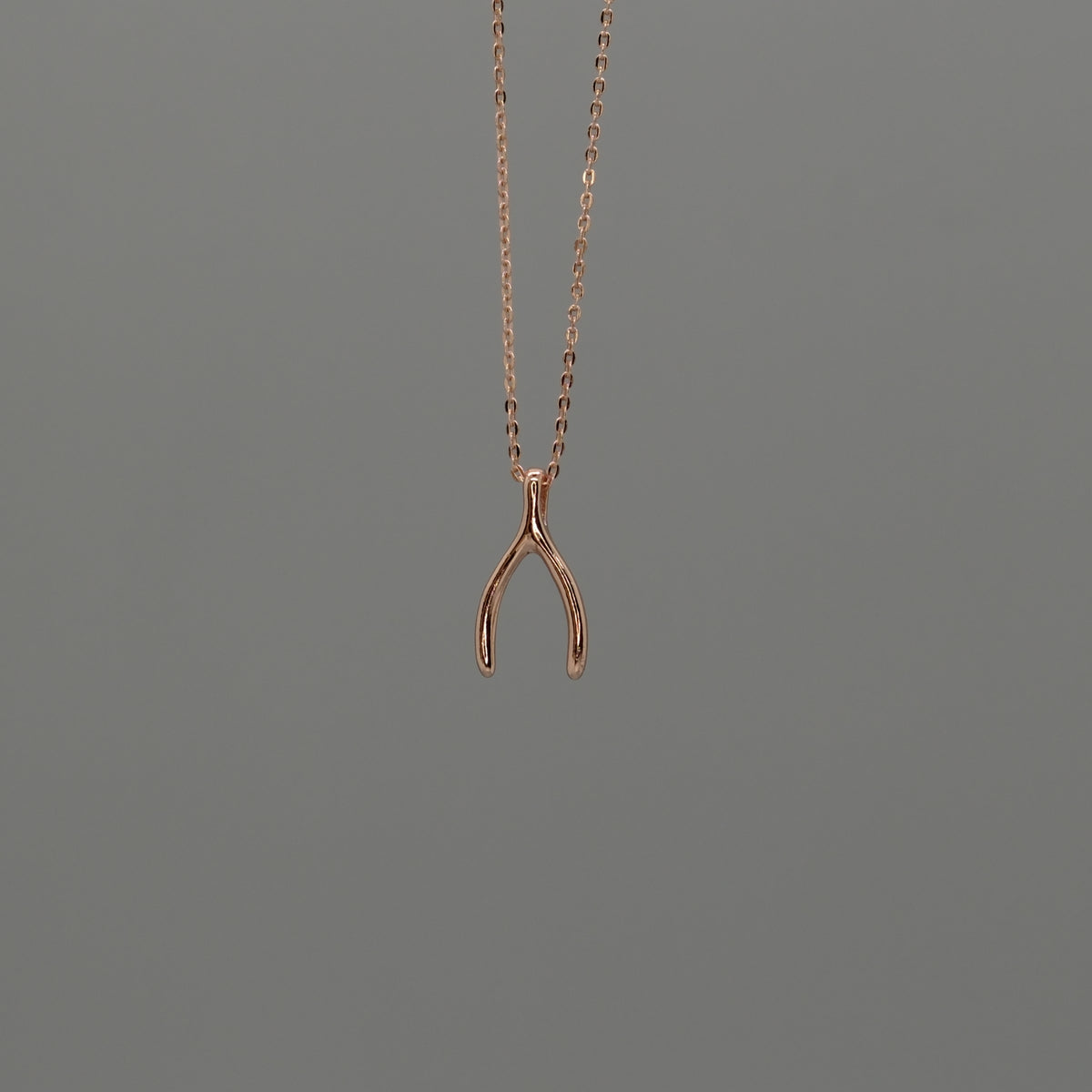 Wishbone Necklace