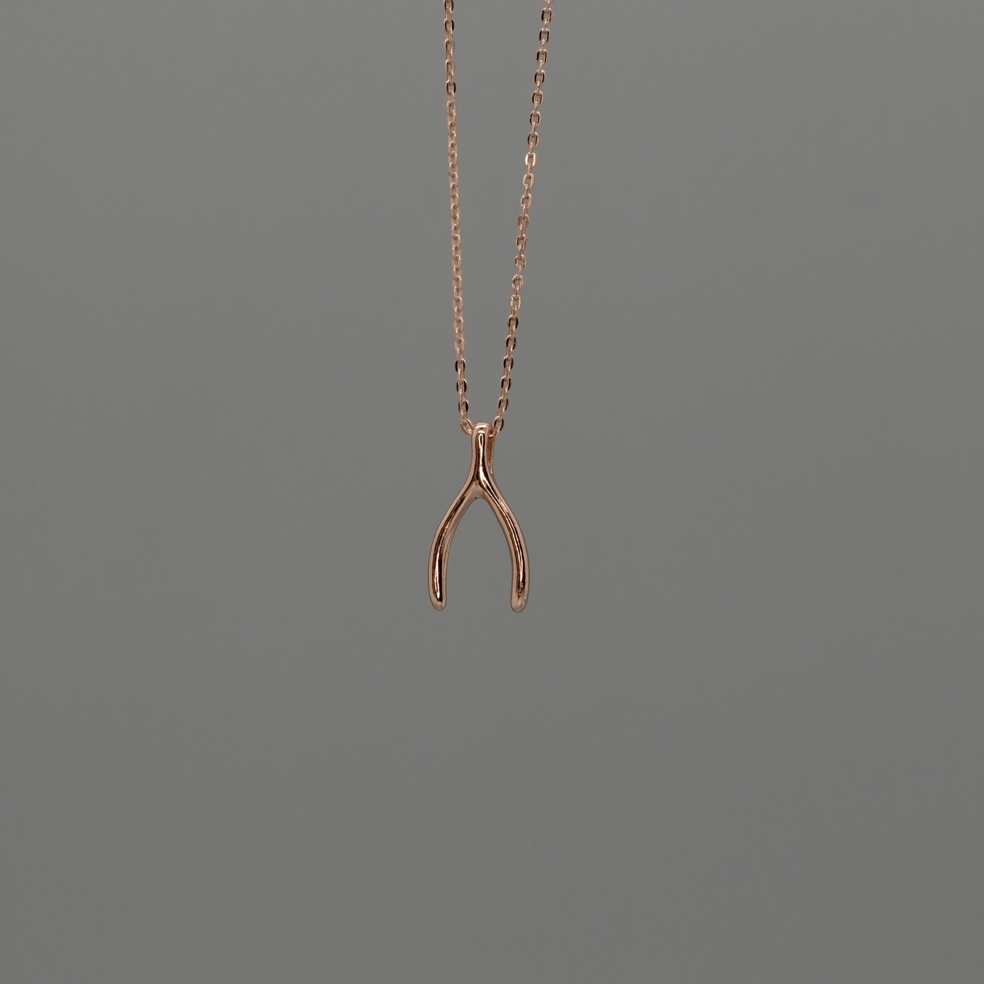 Wishbone Necklace
