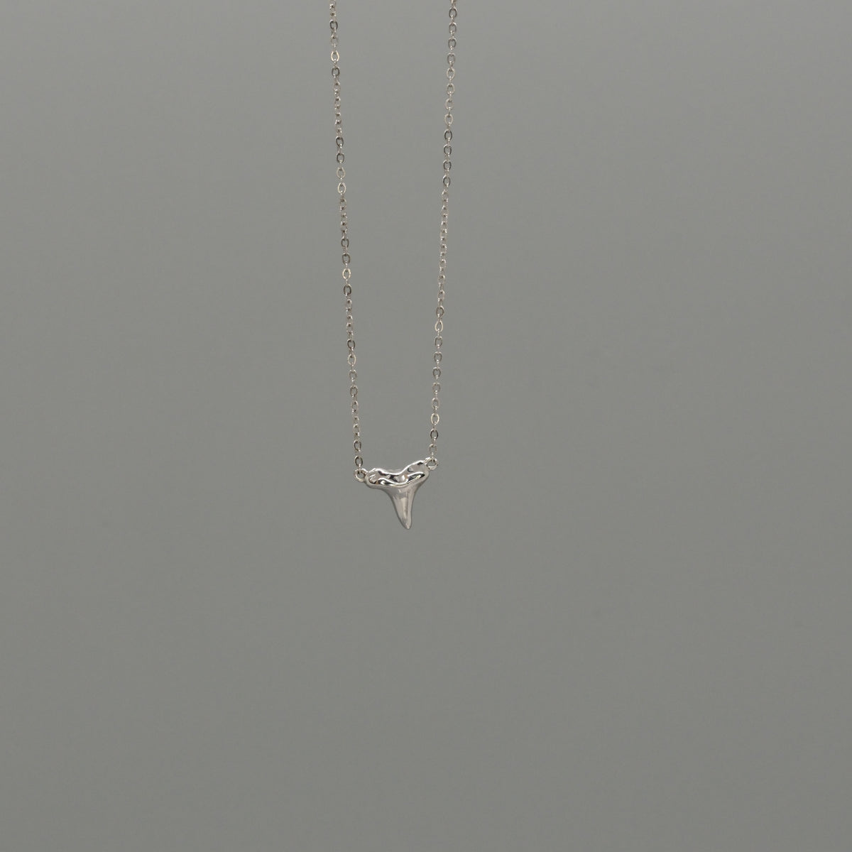 shark tooth necklace