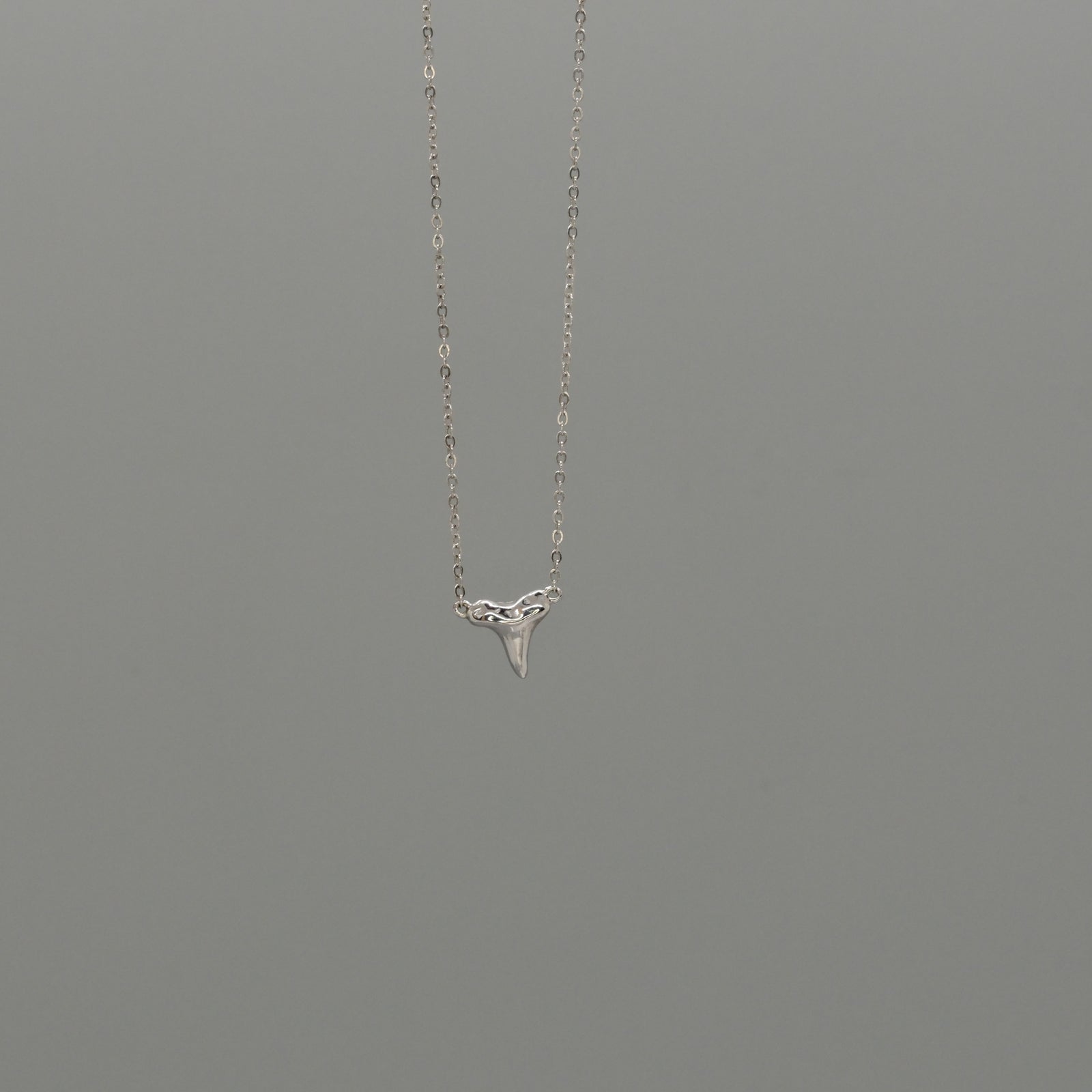 shark tooth necklace