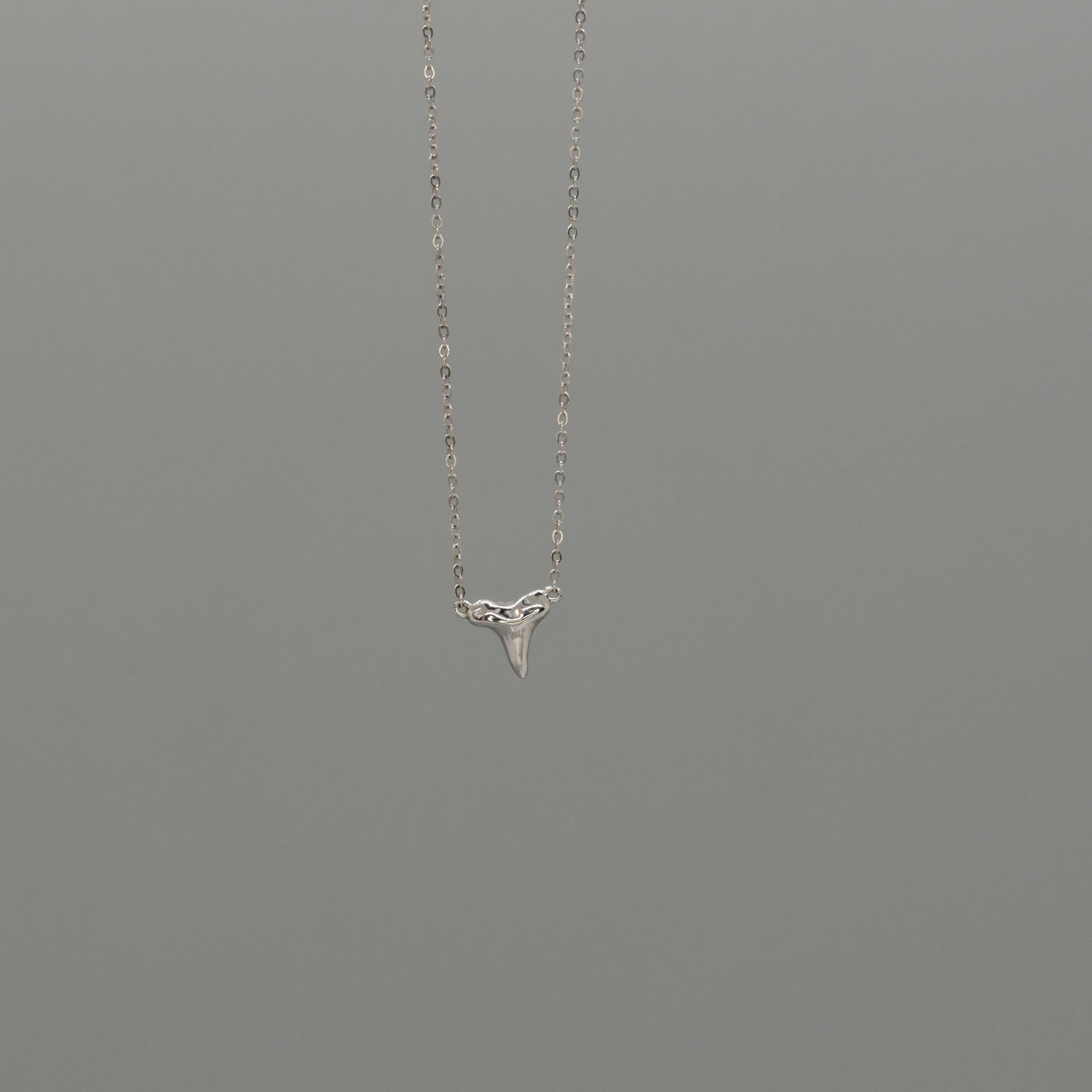 shark tooth necklace