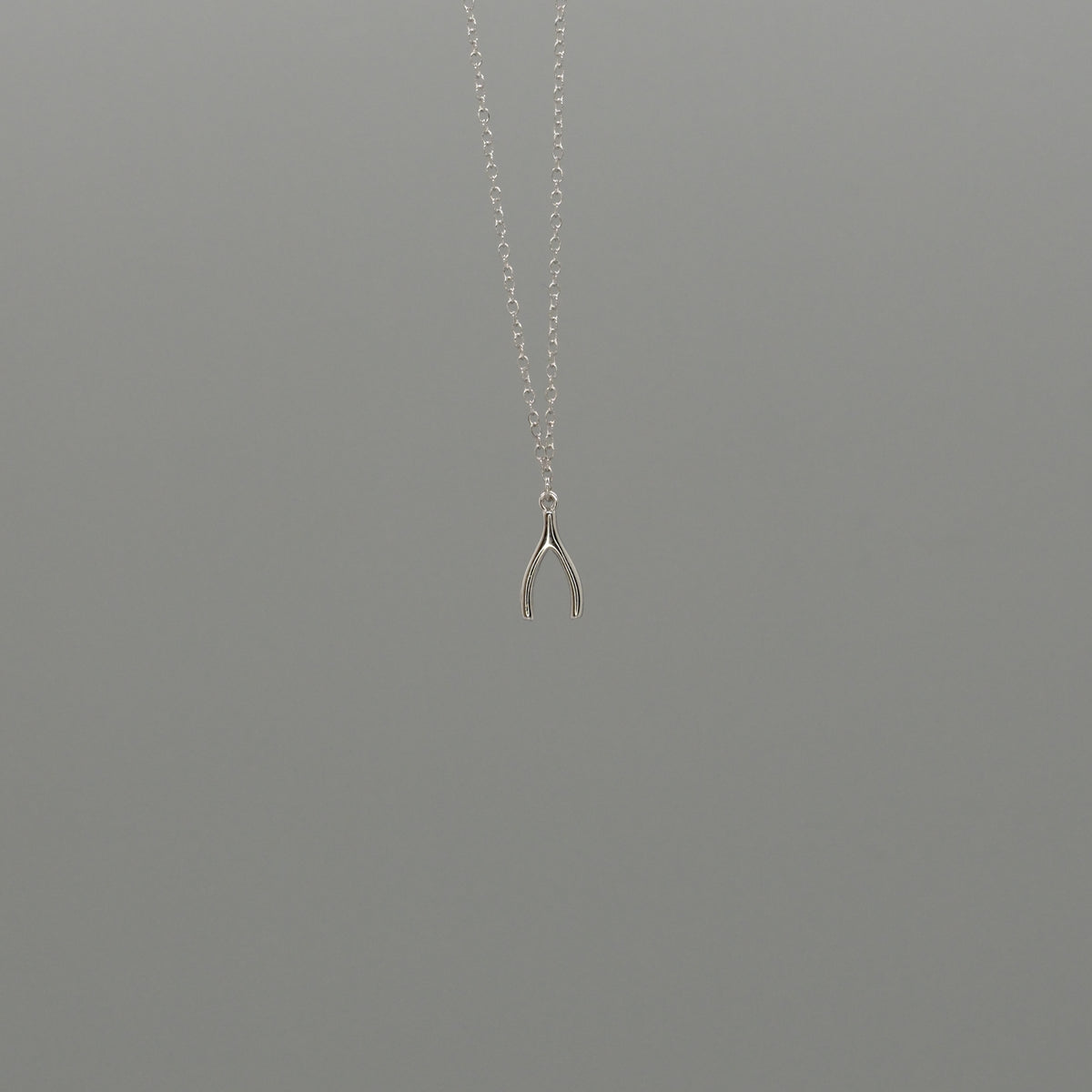 Mini Wishbone Necklace