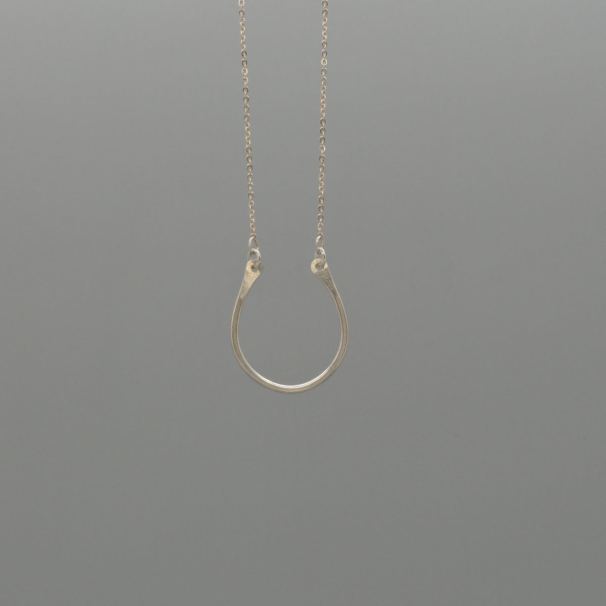 horseshoe necklace