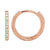 NFC - NE11223