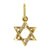NFC - Star David charm