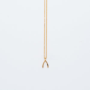 NSC - Wishbone Necklace in Gold Plated