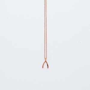 NSC - Wishbone Necklace in Gold Plated