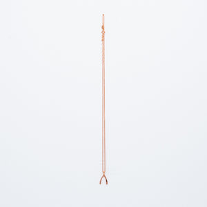 NSC - Wishbone Necklace in Gold Plated
